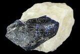 Large Lazurite Crystals in Calcite Matrix - Afghanistan #111793-1